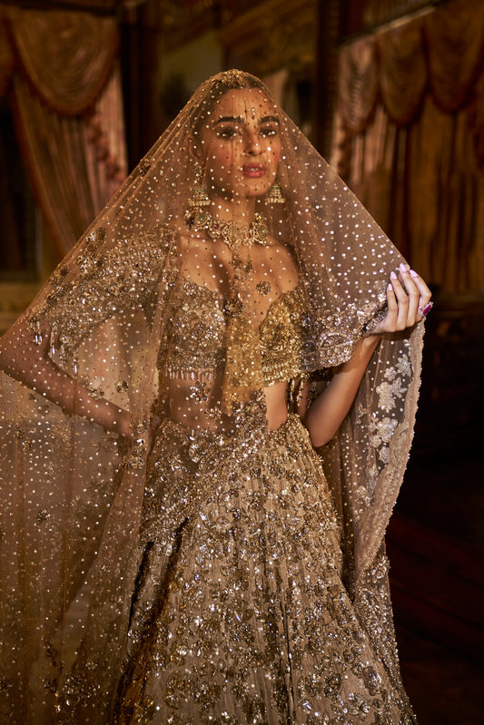 Gold Tissue Lehenga Set