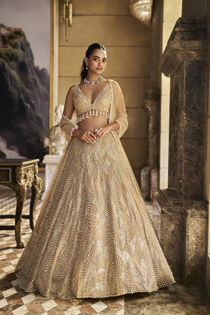Nude Pearl Lehenga Set