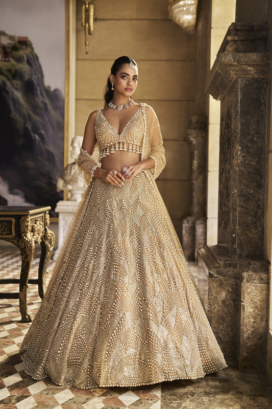 Nude Pearl Lehenga Set