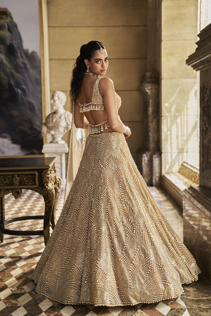 Nude Pearl Lehenga Set