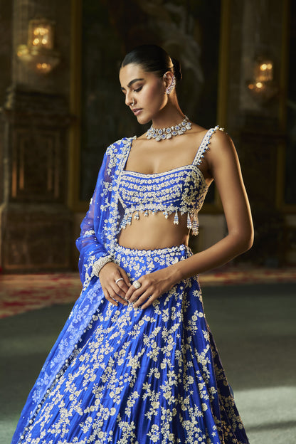 Blue Thread Work Lehenga Set