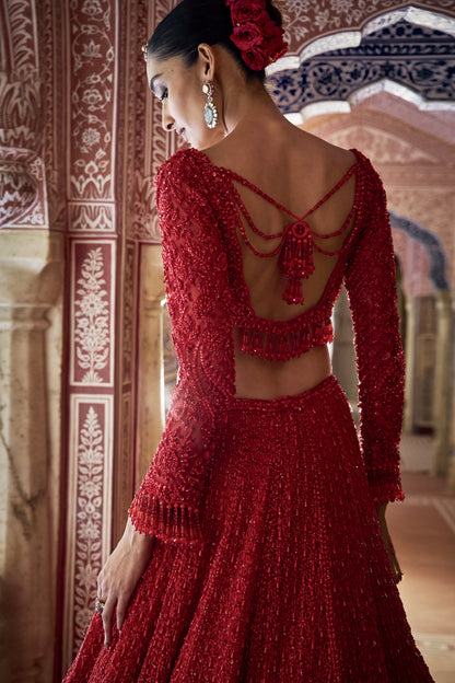 Red Cut Work Lehenga Set