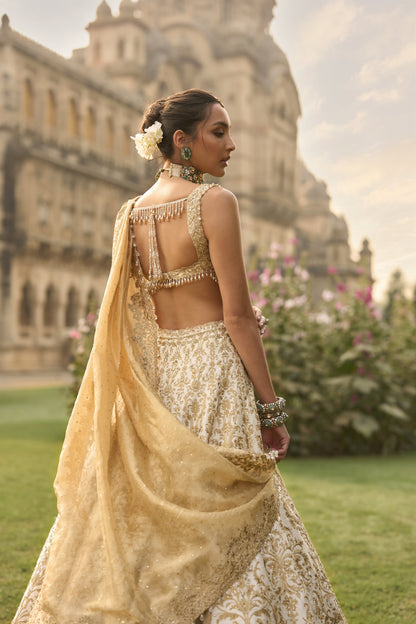 Ivory Gold Lehenga Set