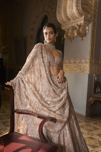 Rose Gold Tissue Lehenga Set