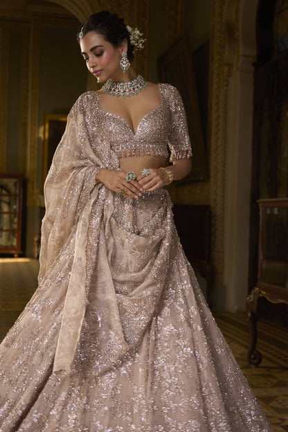 Rose Gold Tissue Lehenga Set