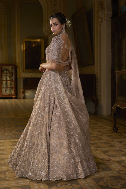 Rose Gold Tissue Lehenga Set