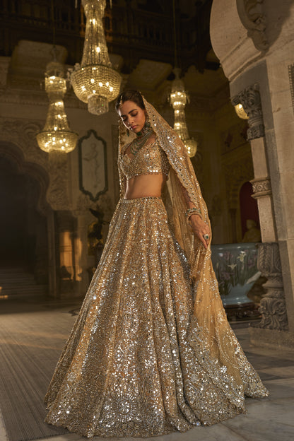 Gold Mirror Work Lehenga Set