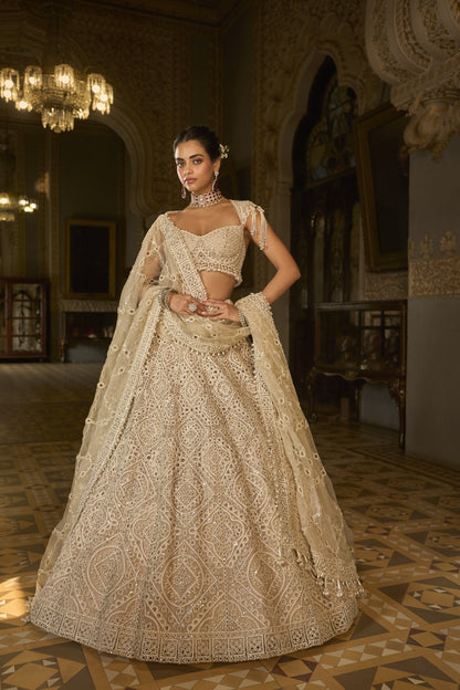 Dark Beige Thread Work Lehenga Set