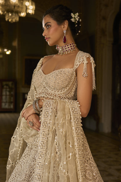 Dark Beige Thread Work Lehenga Set