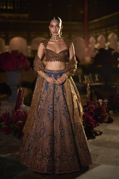 Navy Blue Paisely Lehenga Set