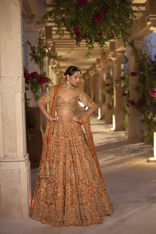 Rust Zardosi Cut Work Lehenga Set