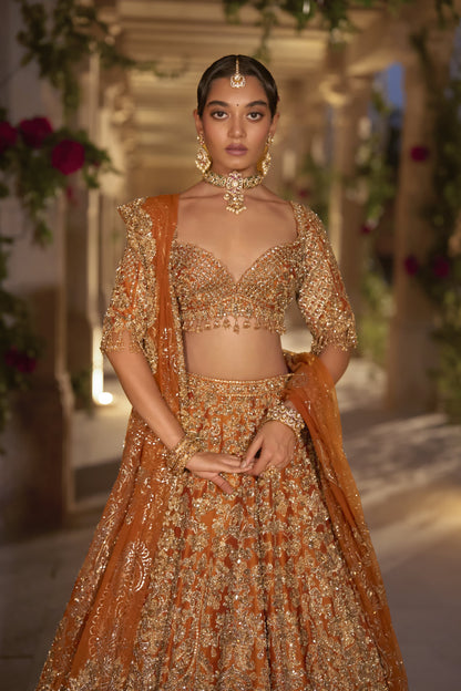 Rust Zardosi Cut Work Lehenga Set