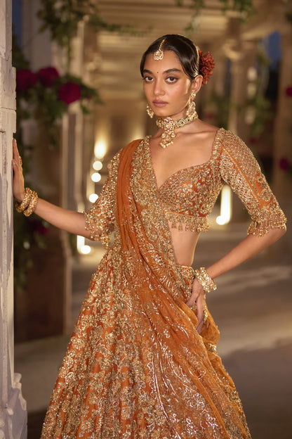 Rust Zardosi Cut Work Lehenga Set