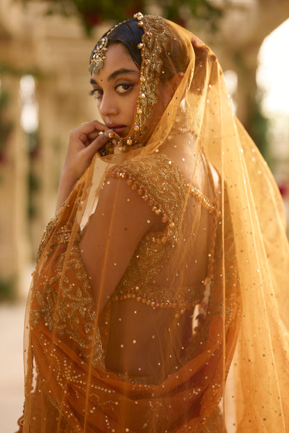 Rust Zardosi Lehenga Set