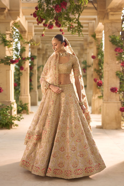 Nude Gold Applique Work Lehenga Set