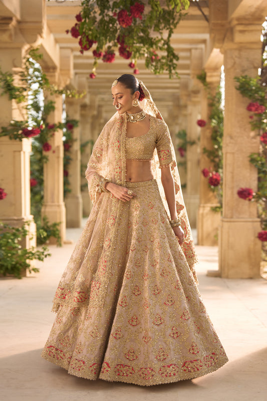 Nude Gold Applique Work Lehenga Set