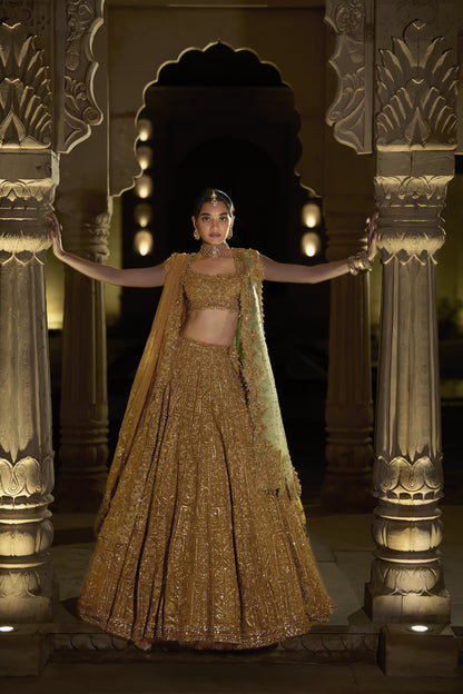 Antique Gold Lehenga Set