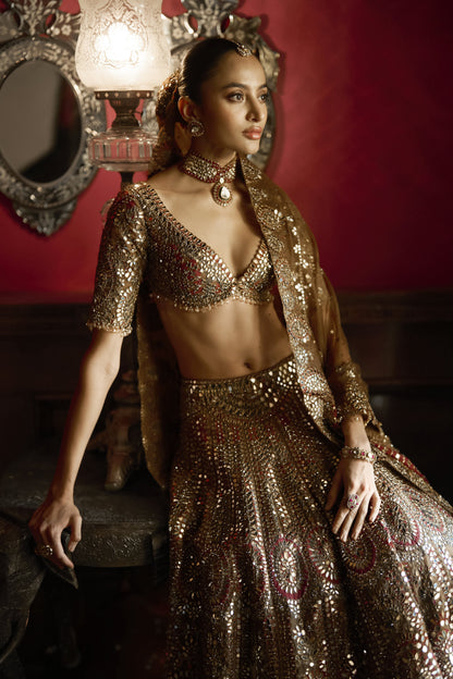 Applique Mirror Work Lehenga Set