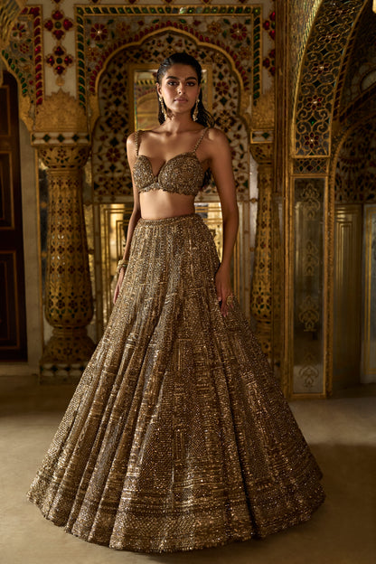 Gold Sequin Lehenga set