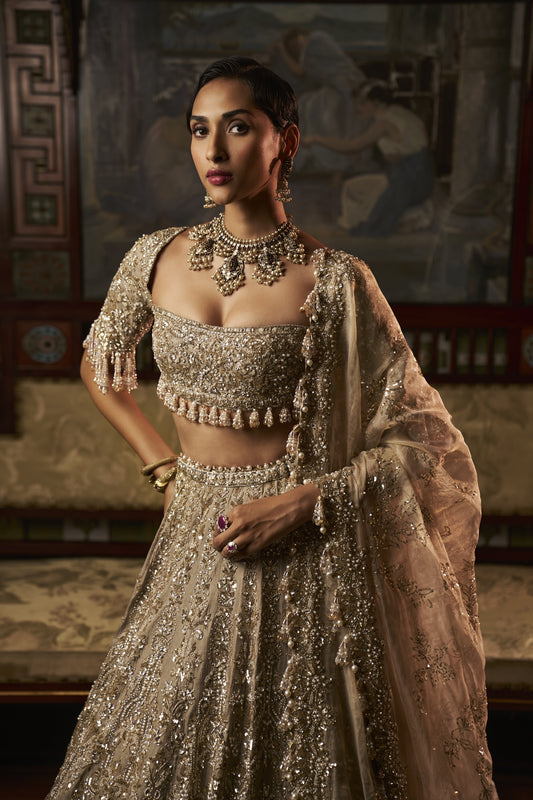 Gold Silver Tissue Lehenga Set
