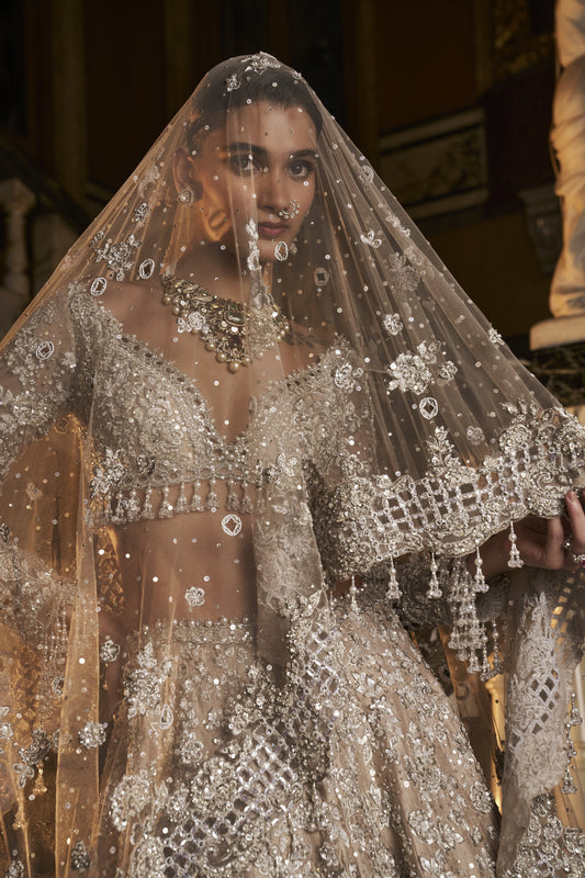 Nude Silver cut Work Lehenga Set