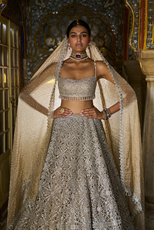 Silver Geometric Cut work Lehenga