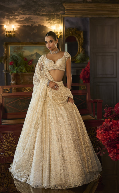 Ivory Crystal Lehenga Set