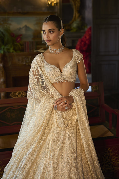 Ivory Crystal Lehenga Set