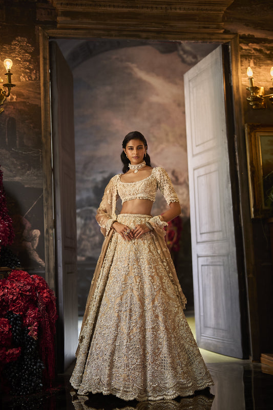 Nude Pearl Lehenga Set