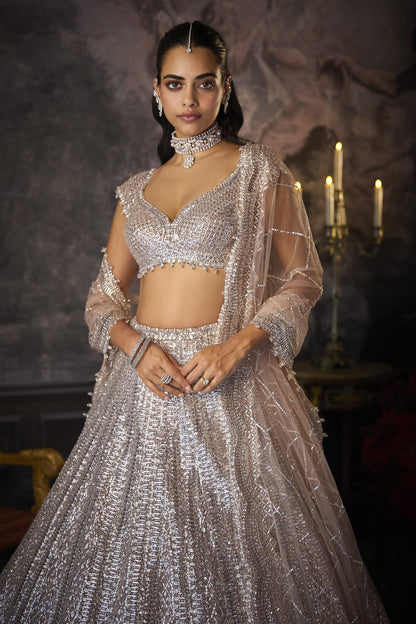 Dusty Mauve Lehenga Set