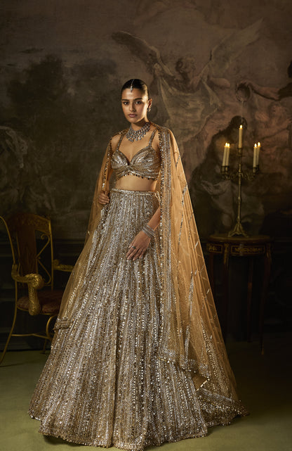 Gold Silver Lehenga Set