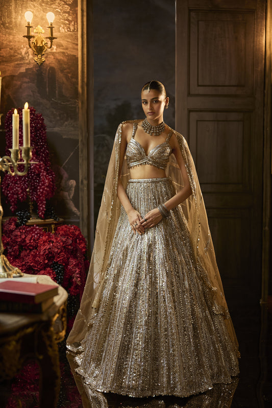 Gold Silver Lehenga Set