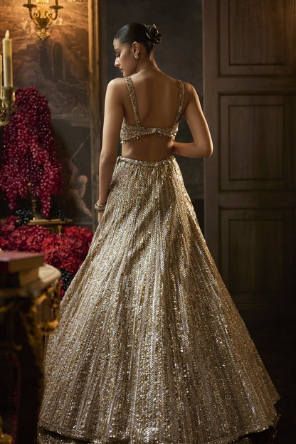 Gold Silver Lehenga Set