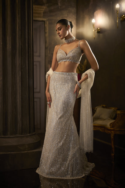 Silver Fit & Flare Trail Skirt Set