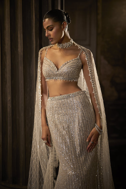Silver Fit & Flare Trail Skirt Set