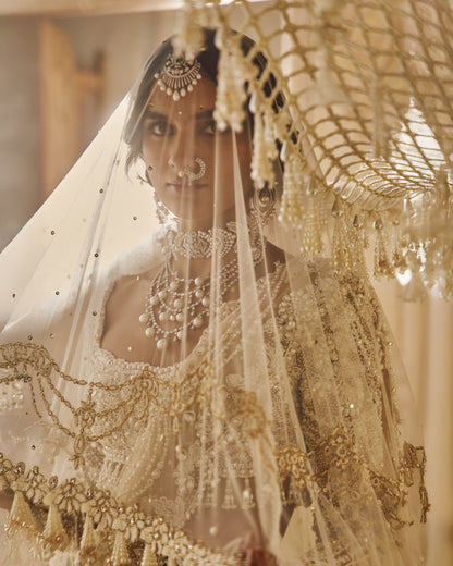 Nude Pearl Lehenga Set