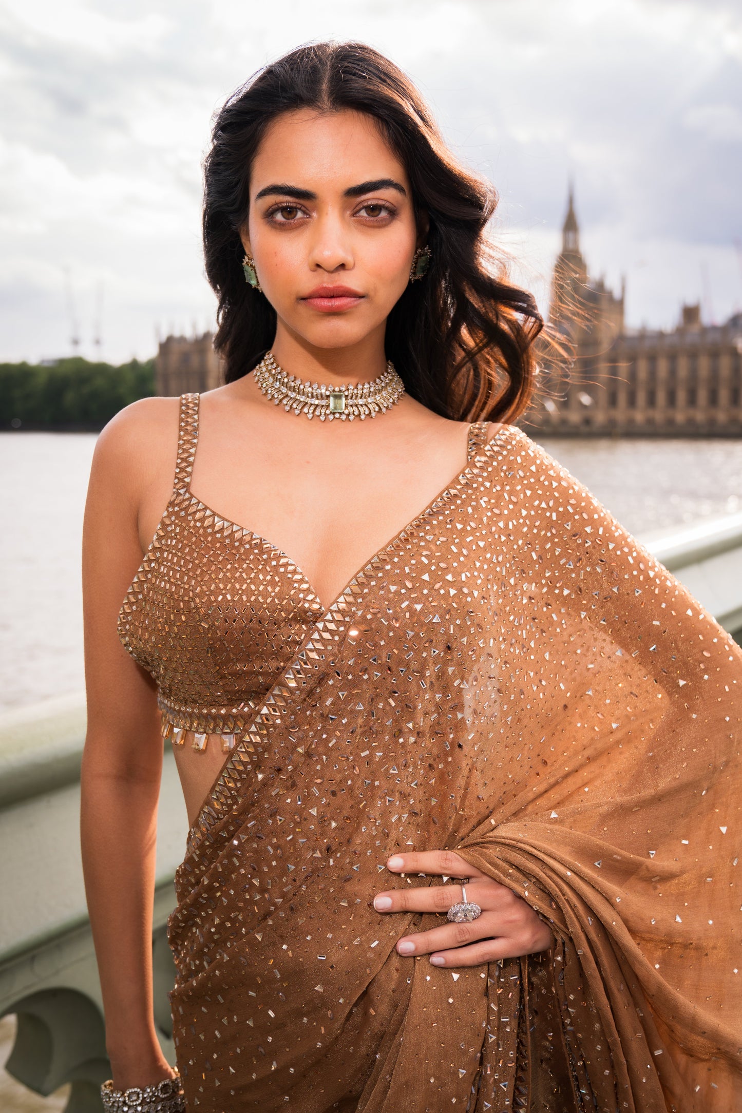 Antique Gold Crystal Saree