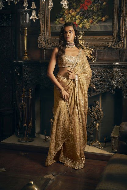Gold Mirror work saree