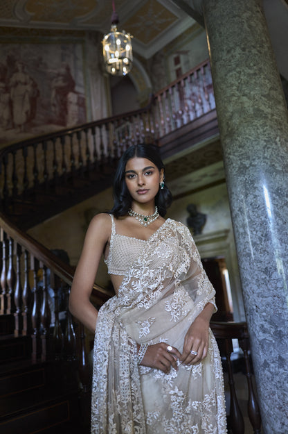 Nude Thread Work Saree