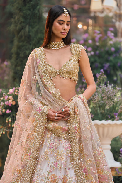 Multi-Coloured Applique Lehenga Set