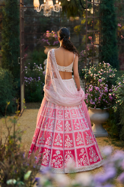 Ombre Pink Lehenga Set