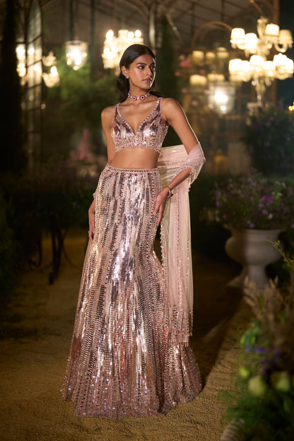 Rose Gold Fit & Flare Skirt Set