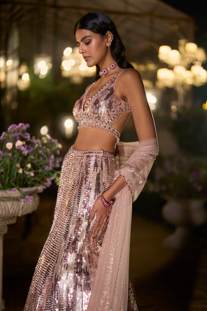 Rose Gold Fit & Flare Skirt Set