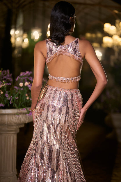 Rose Gold Fit & Flare Skirt Set