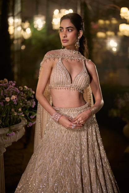 Coffee Sequin Lehenga Set
