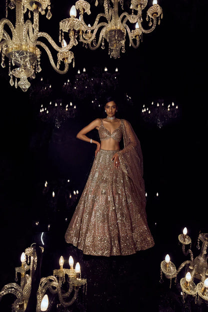 Vaani Kapoor in Biscotti Gold Sequin Lehenga Set